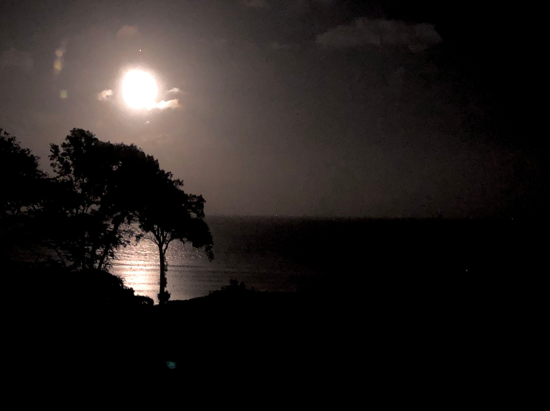 Alexandra Hotel and Restaurant主图