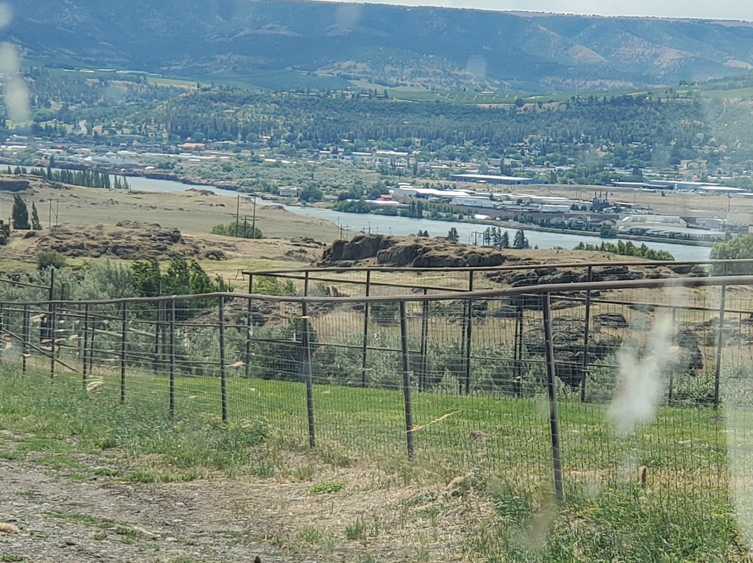 Schreiner Farms景点图片