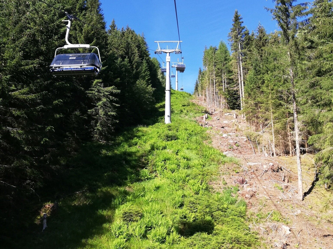 Riesner Alm-Donnersbach必去景点