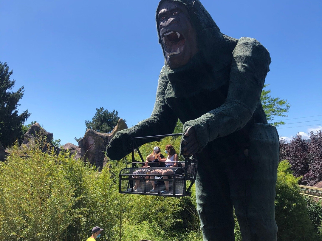 Cigoland - Parc des Cigognes et Attractions景点图片