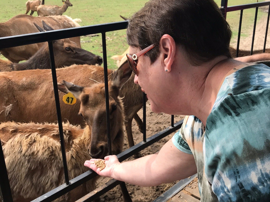 Dutch Creek Farm Animal Park景点图片