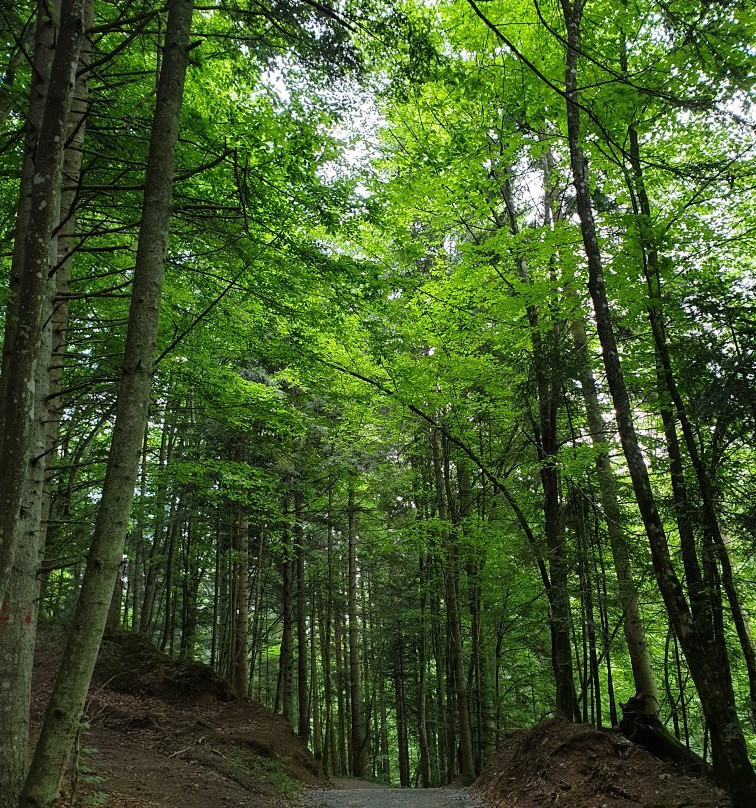 Zasticeni pejzaz - Protected Landscape Konjuh-Banovici必去景点