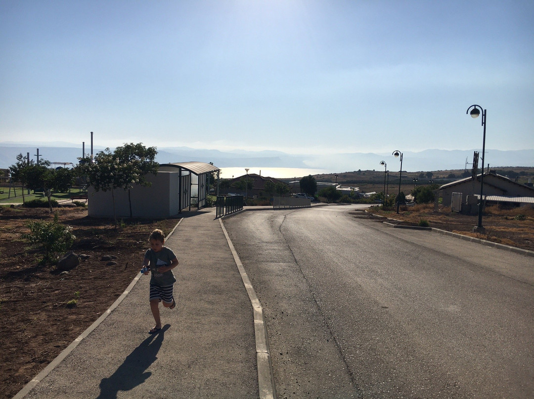 Etzel Tami Hospitality主图