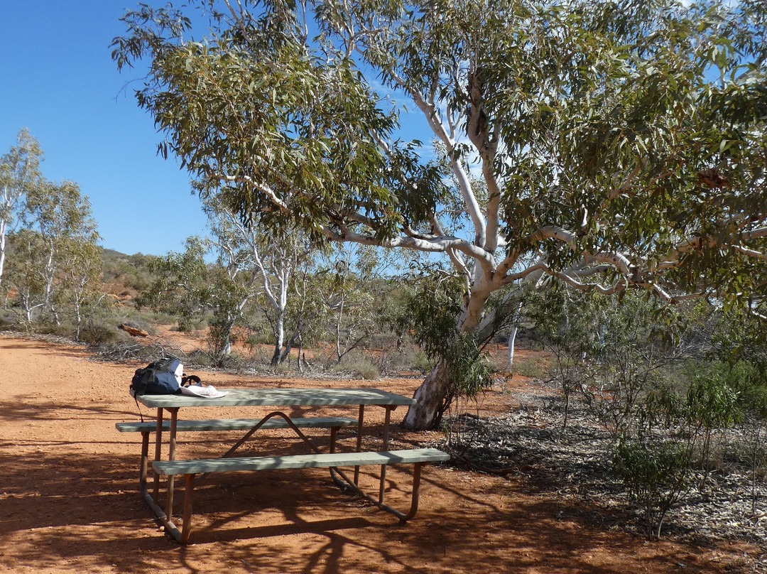 Thomas Carter Lookout Walk-埃克斯茅斯必去景点