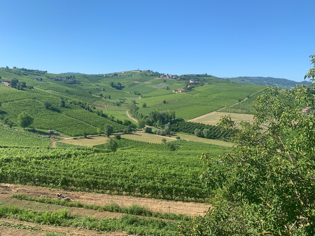Agriturismo Vecchio Torchio主图