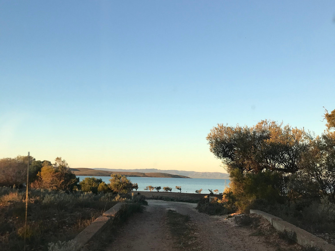 Fitzgerald Bay-Whyalla必去景点