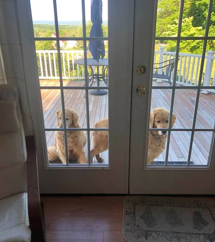 Enfield Manor Bed and Breakfast主图