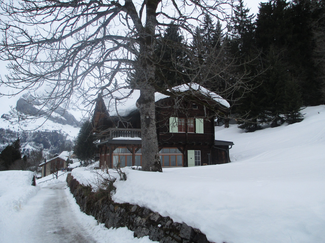 Skigebiet Braunwald-Braunwald必去景点