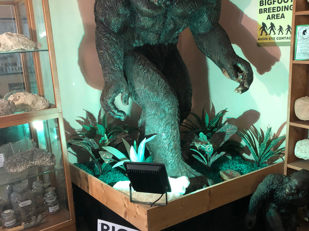 Cryptozoology & Paranormal Museum-Littleton必去景点