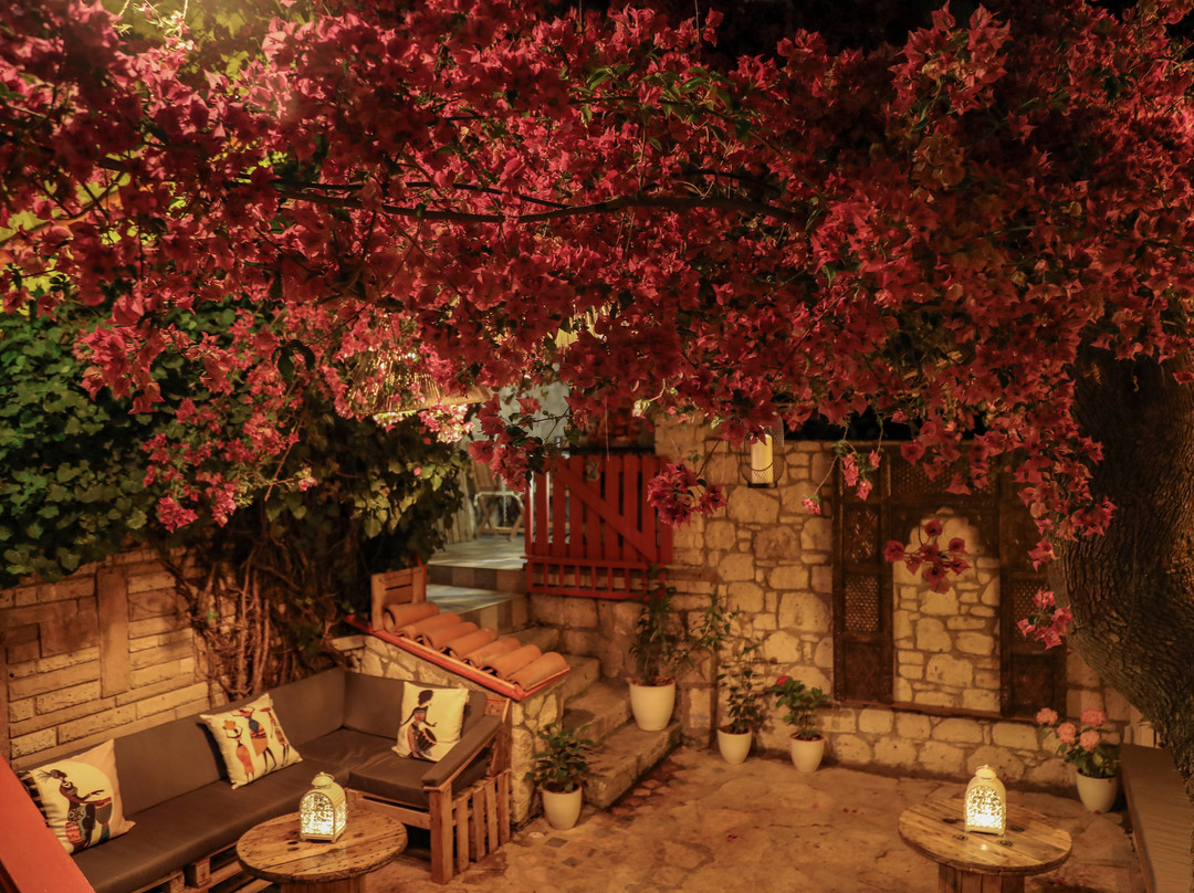 Bee Alacati Butik Otel主图