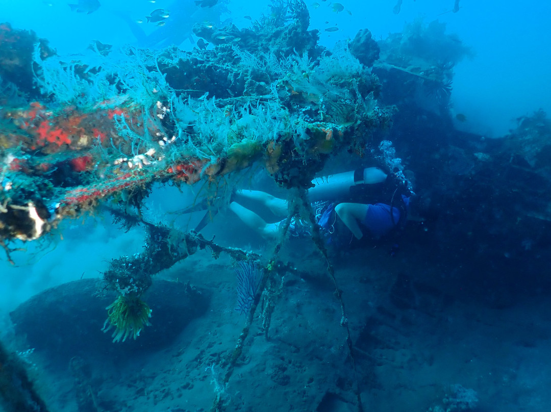 Rabaul Dive Adventures-Kokopo必去景点