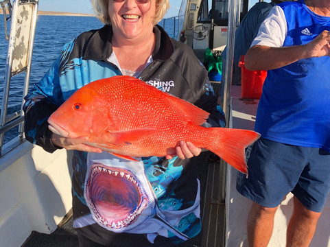 Mahi Mahi Fishing Charter-珊瑚湾必去景点