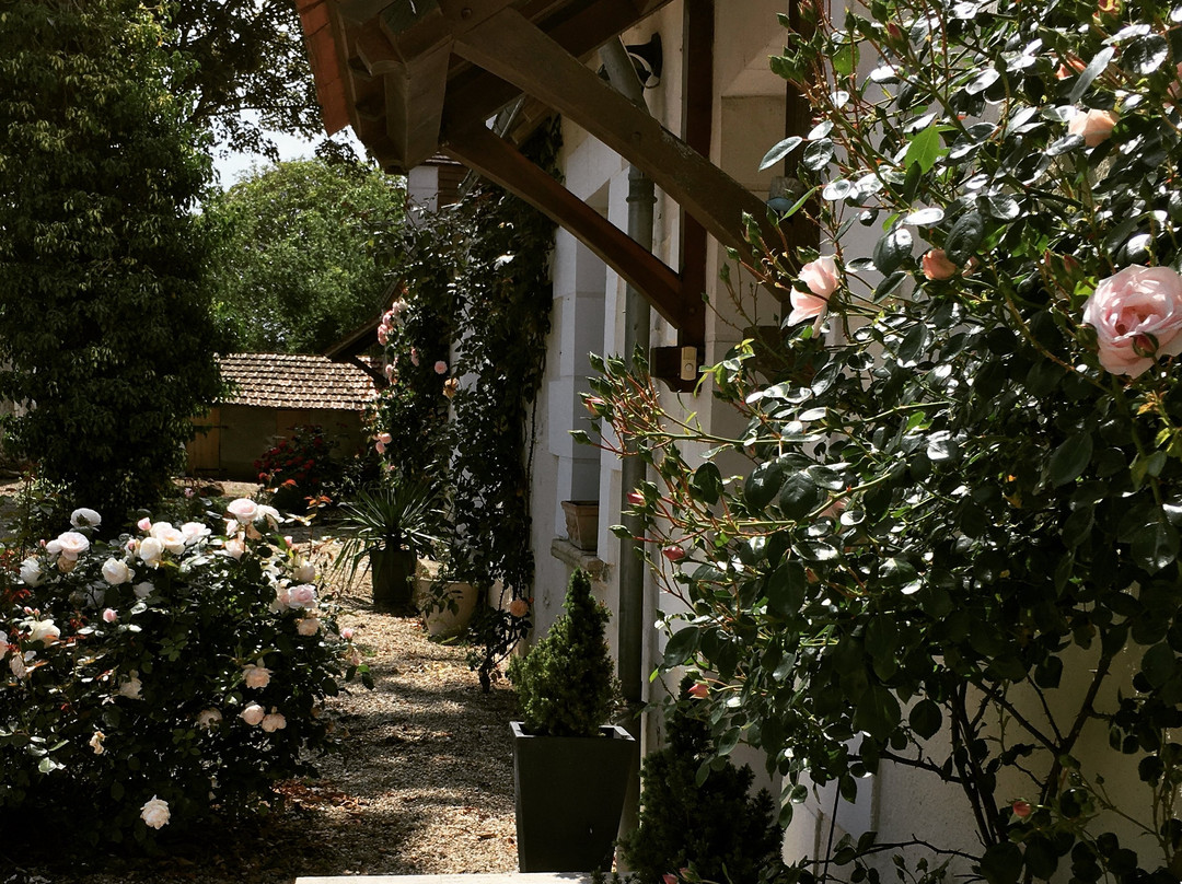 La Bihourderie主图