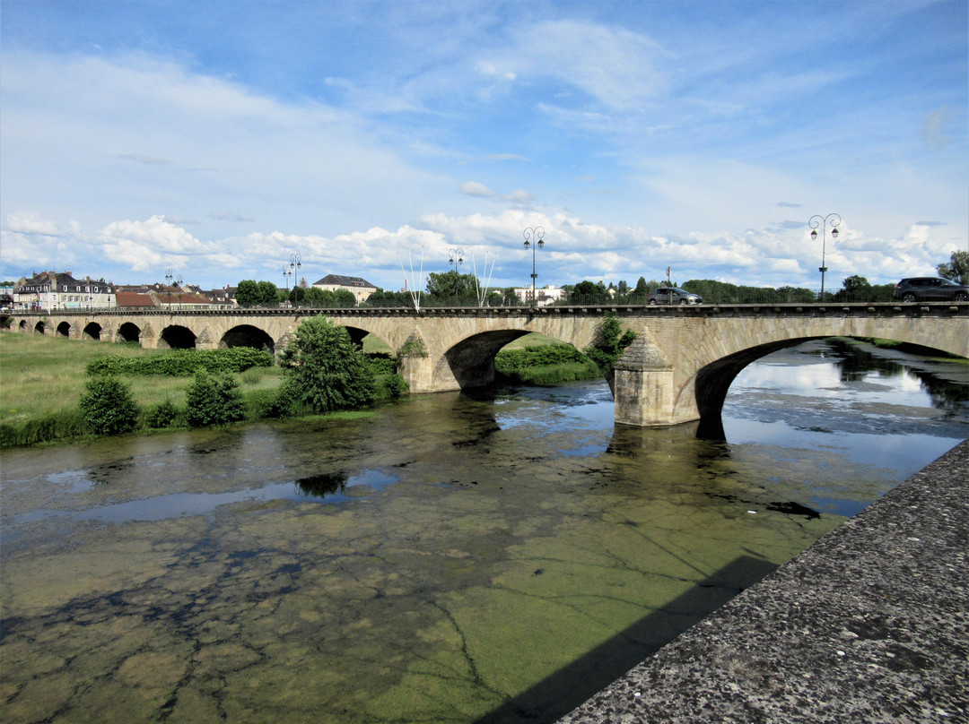 Pont de la Vieille Loire景点图片