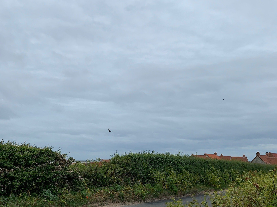 Cley Marshes Nature Reserve and Beach景点图片