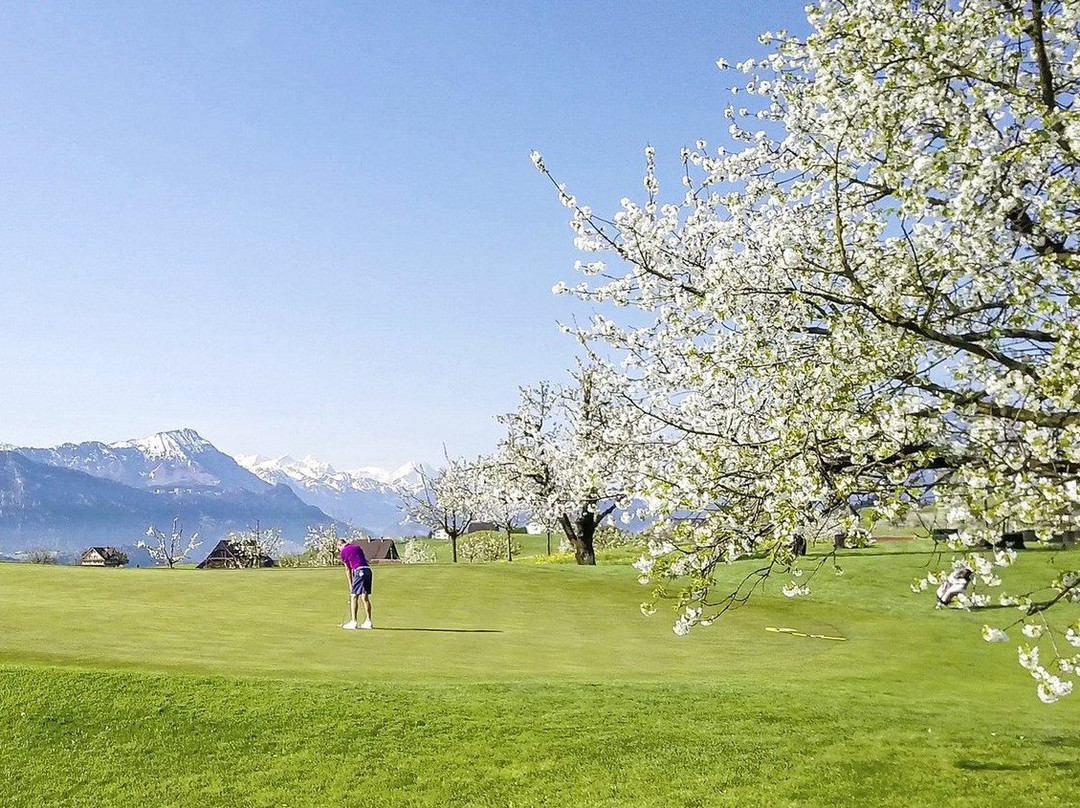 Golf Kussnacht am Rigi-屈斯纳赫特瑞吉必去景点