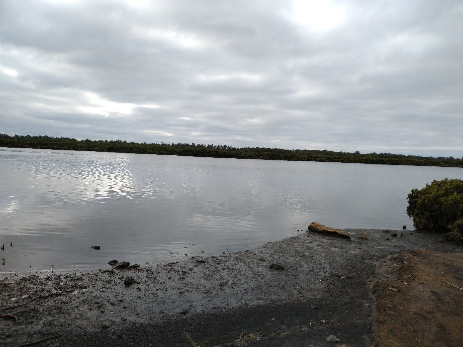 Rhyll Inlet State Wildlife Reserve景点图片