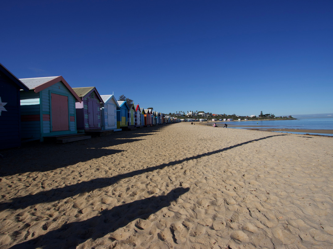 Dendy Street Beach-布莱顿必去景点
