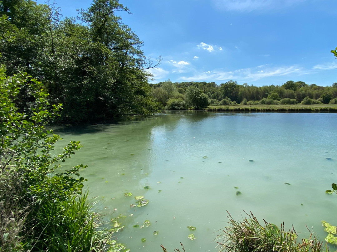 Panshanger Park,-Hertford必去景点