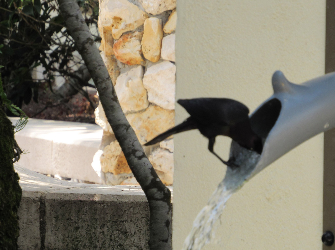 Lake Sumter Landing-群村必去景点