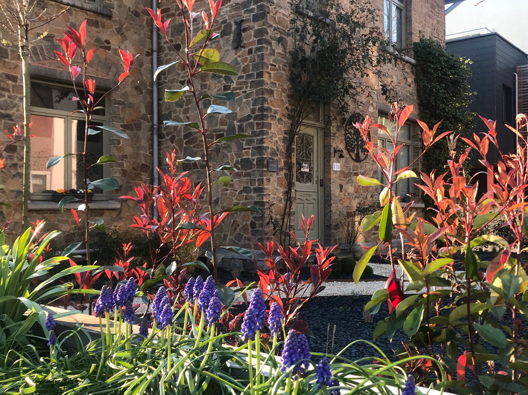 Furfooz酒店住宿-Le Jardin Des Secrets