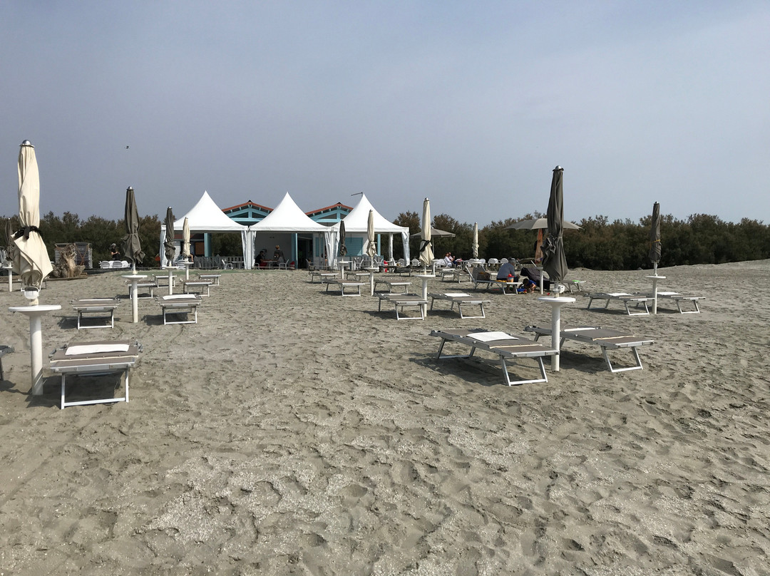 Spiaggia delle conchiglie景点图片
