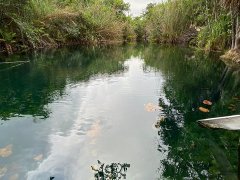 Tulum Diving & Travel-图伦必去景点