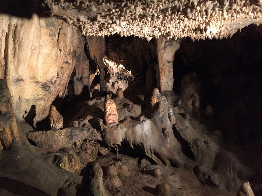 Grottes De Goyet景点图片