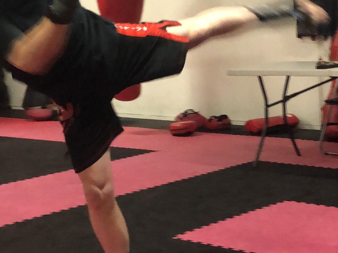 Proactive Self Defence景点图片