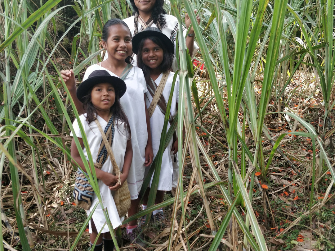 Origen Cacao-Barbosa必去景点