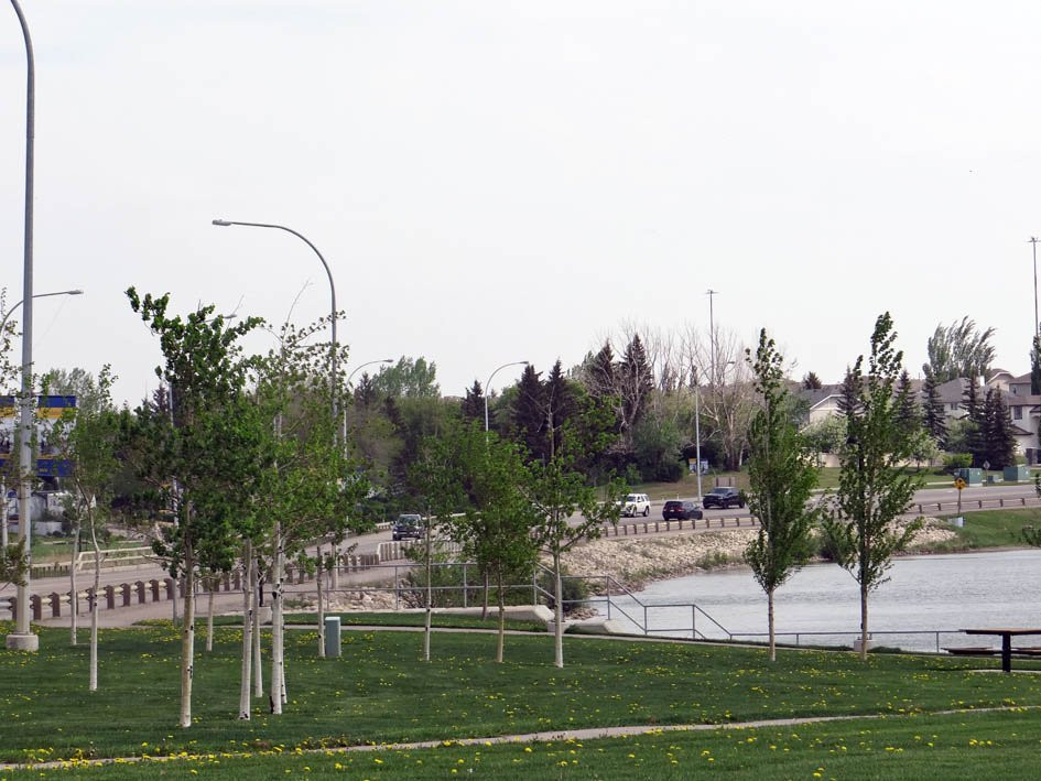 Anniversary Park-Chestermere必去景点