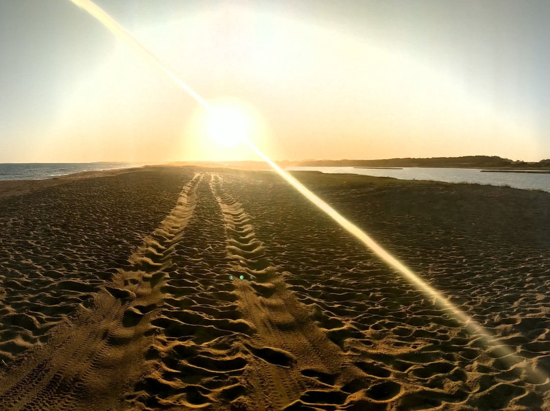 Laguna Garzon Lodge主图