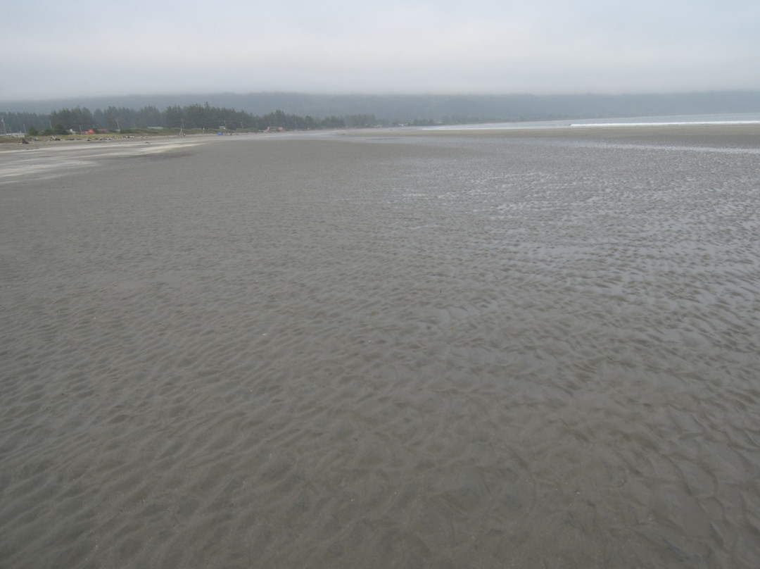 Crescent Beach景点图片