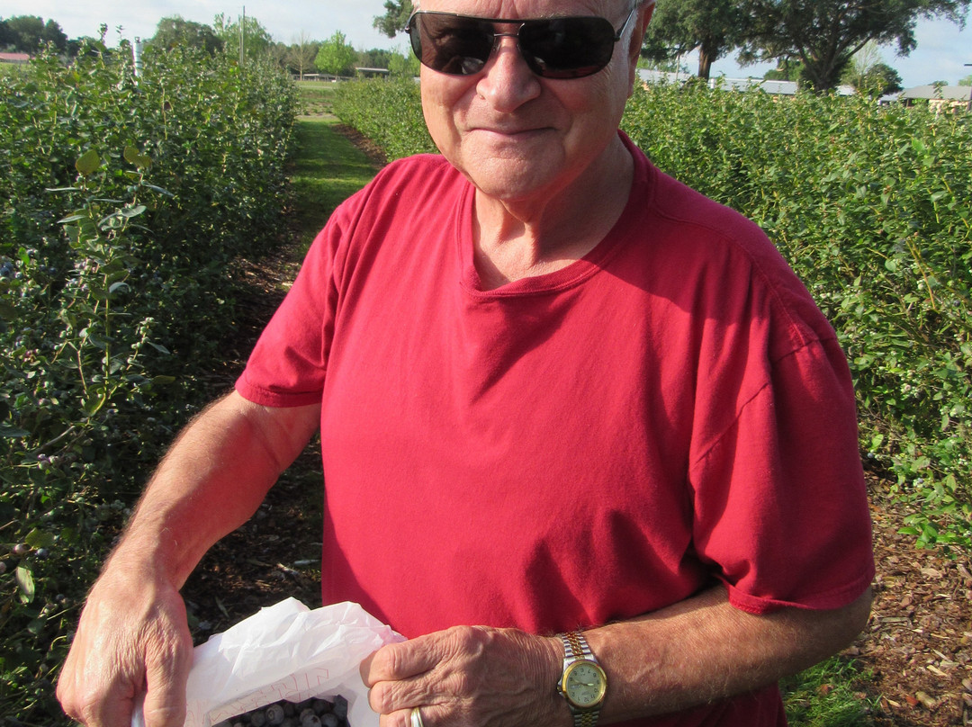 Back Road Berries-Oxford必去景点