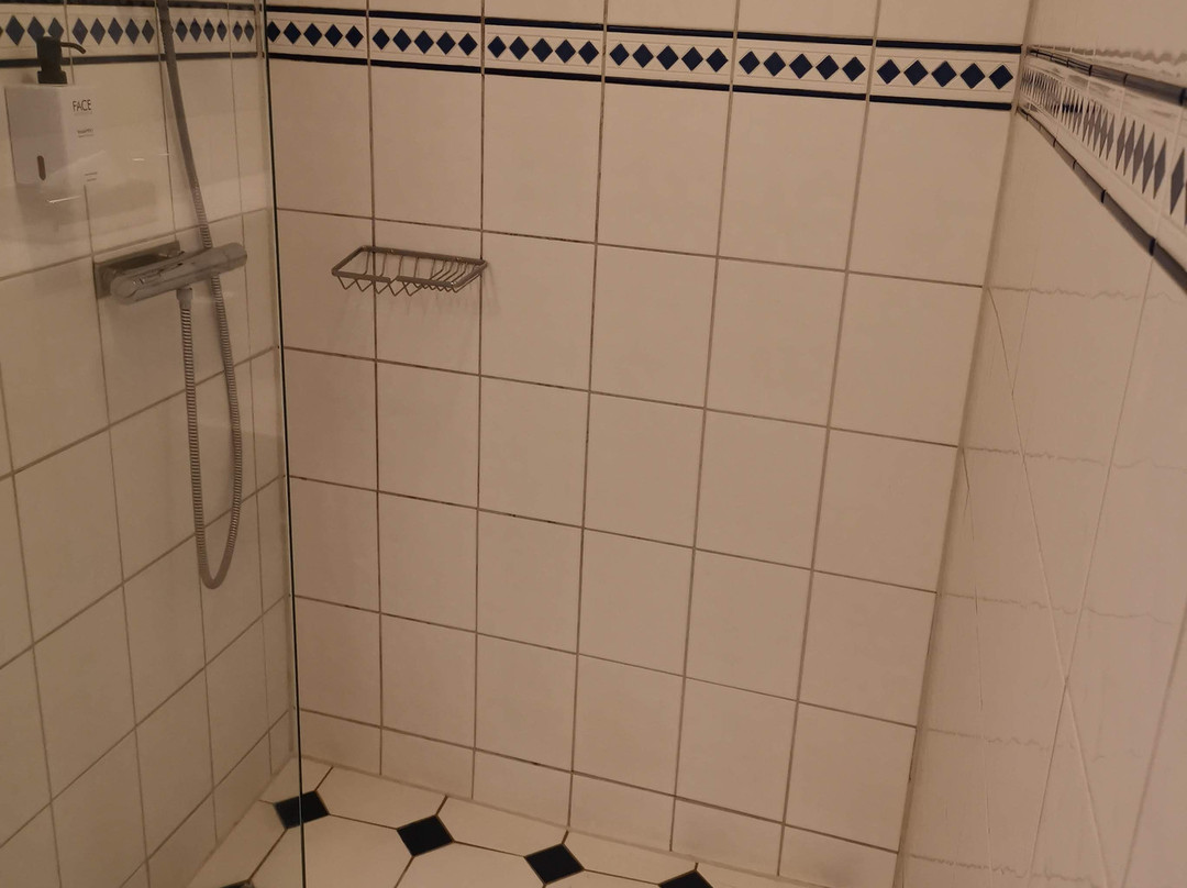 斯堪迪克克莱默酒店主图