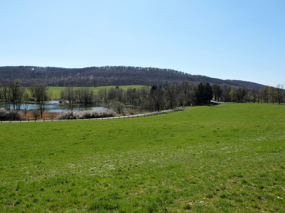 Naturschutzgebiet "Reitlingstal"景点图片