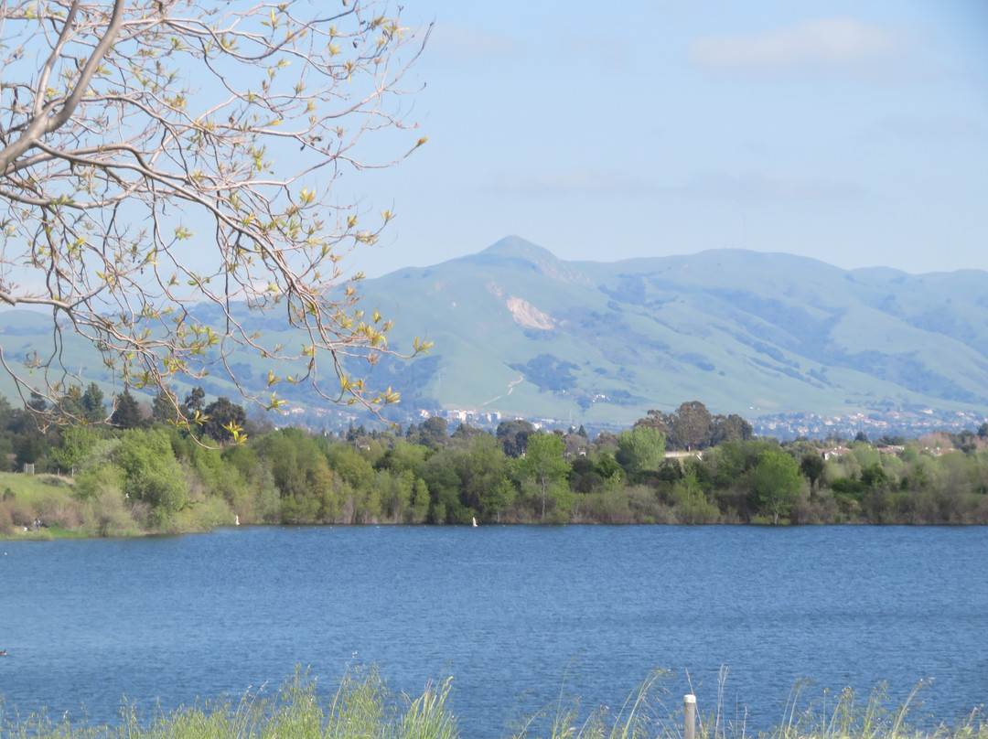 Quarry Lakes Regional Recreation Area景点图片