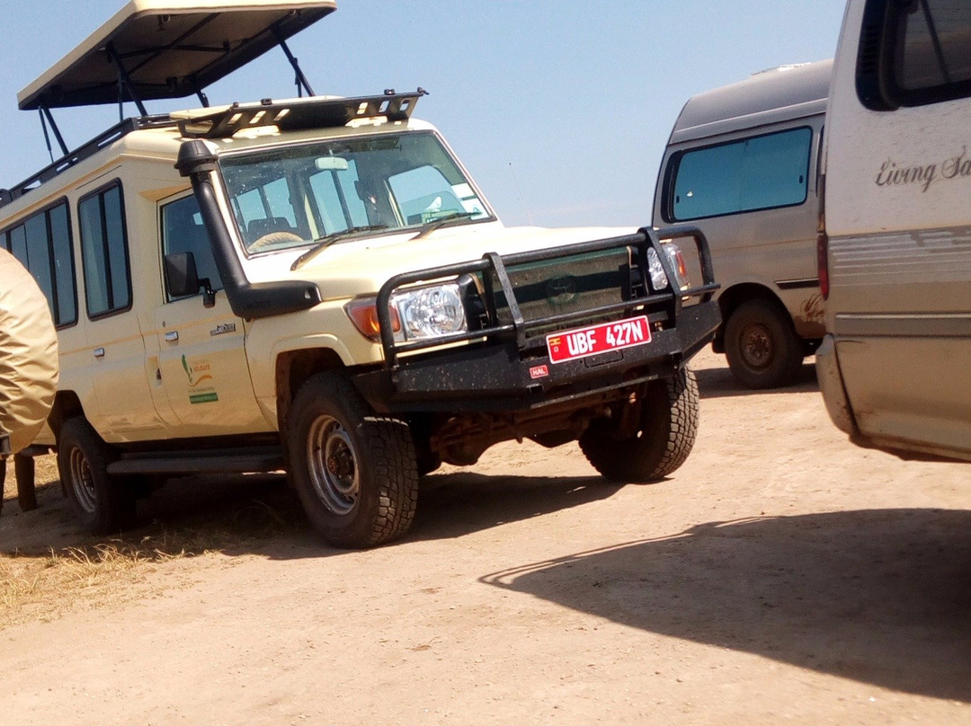 Katunguru Tour Company-Kasese必去景点