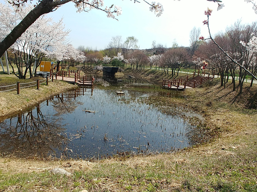 Hanam Namu Goawon-河南市必去景点