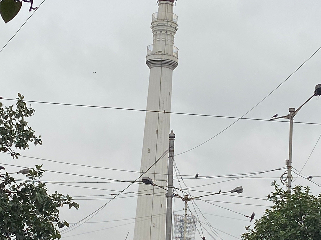 Shaheed Minar景点图片