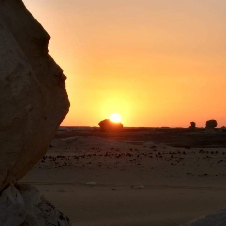 Desert Egypt Safari景点图片