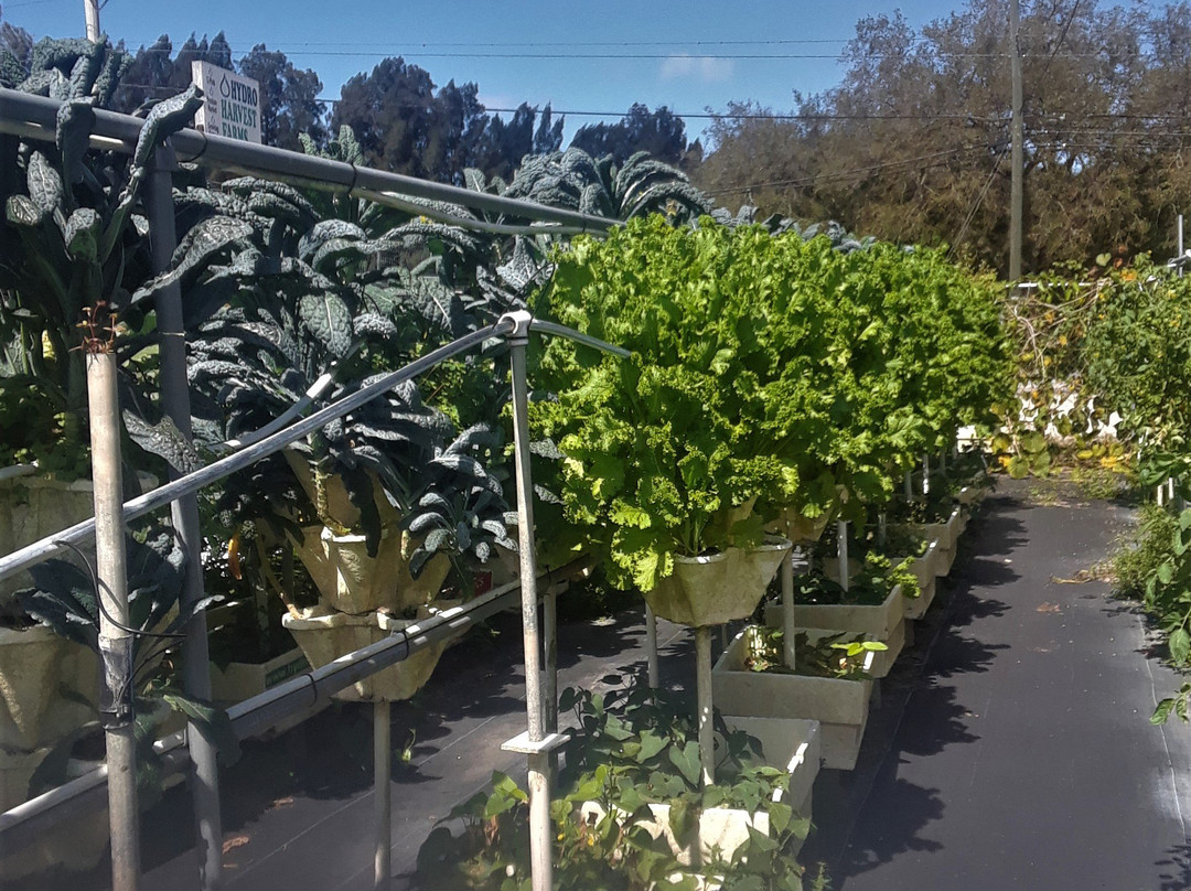 Hydro Harvest Farms-Ruskin必去景点