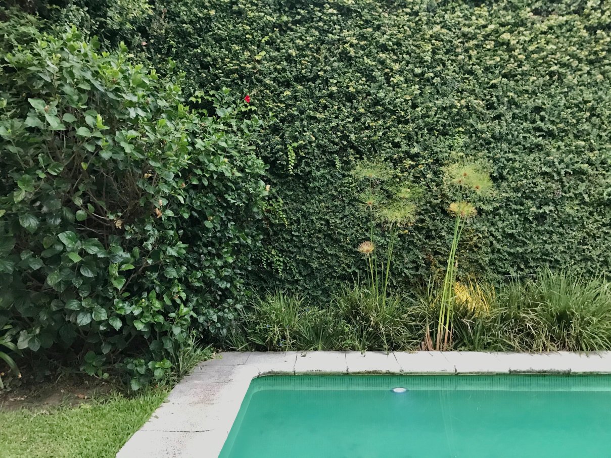 巴勒摩艾雅出租公寓-泳池