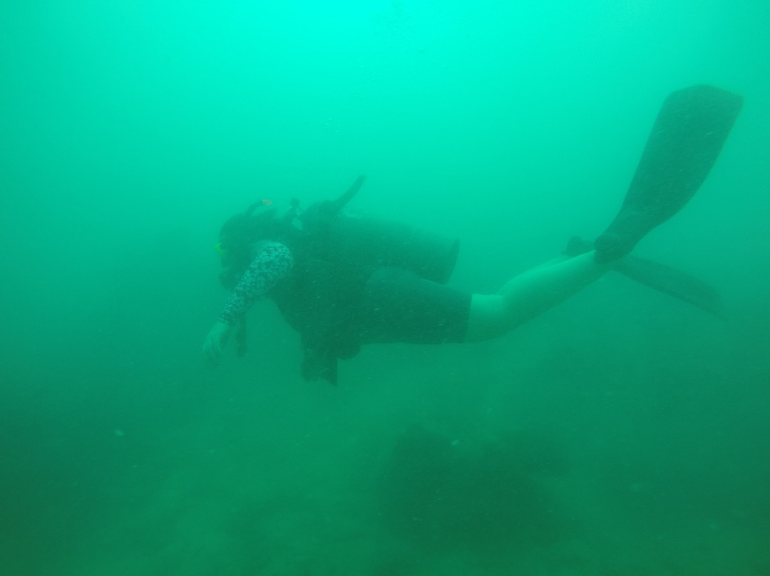 Mermaids Dive Center Pattaya景点图片