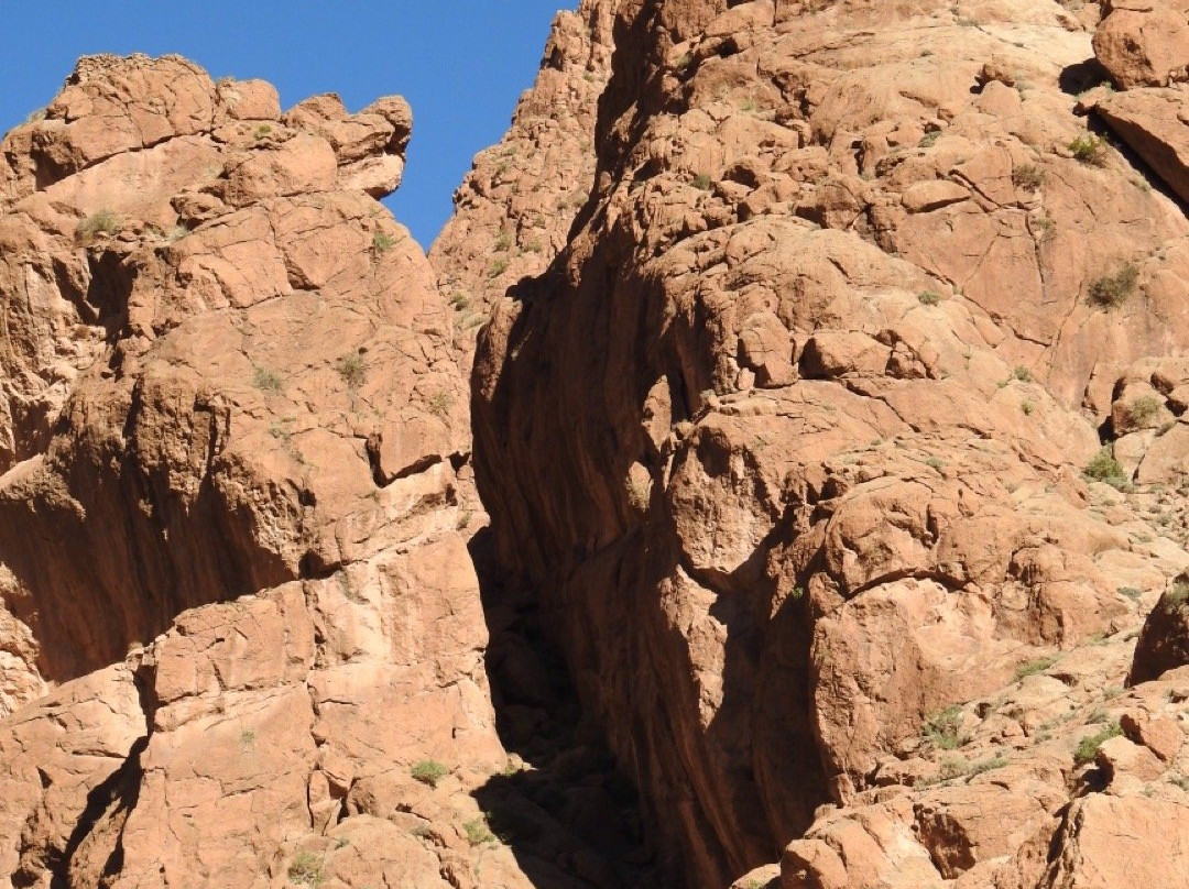 Gargantas del Todra景点图片