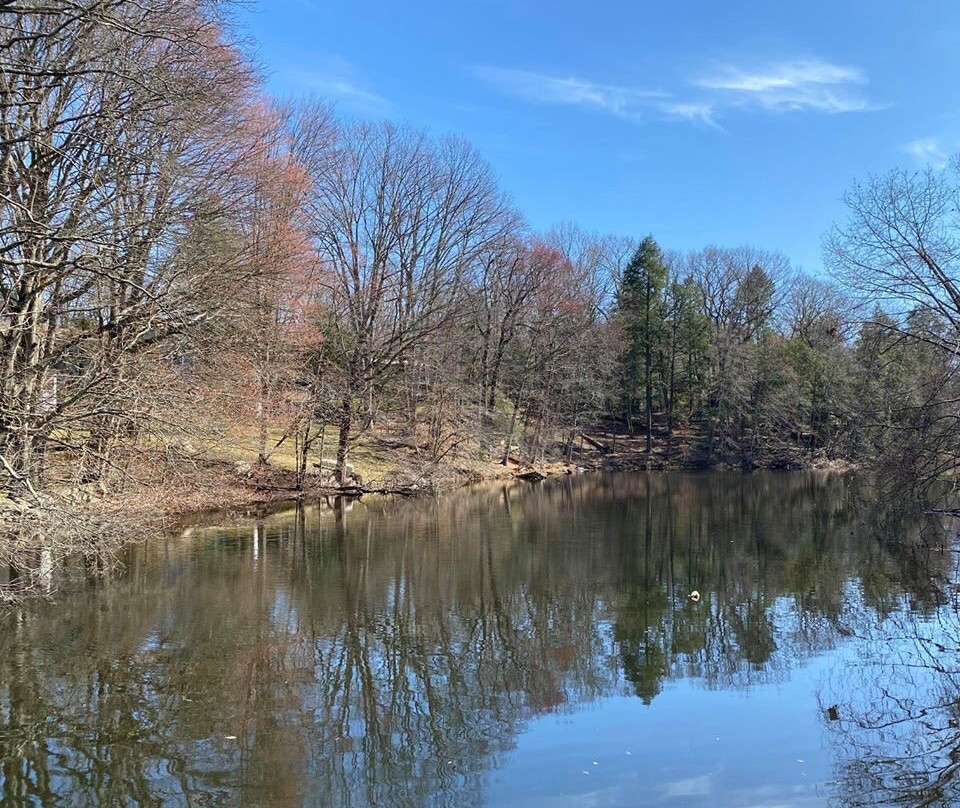 Mianus River Park-斯坦福必去景点