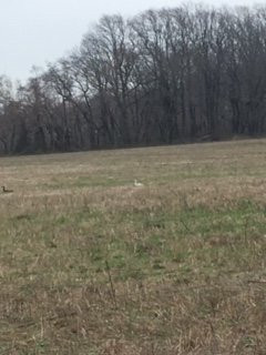 Edgewater Park旅游景点-Laurel Run Park