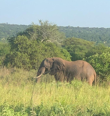 Swala Camp, An A&k Sanctuary主图