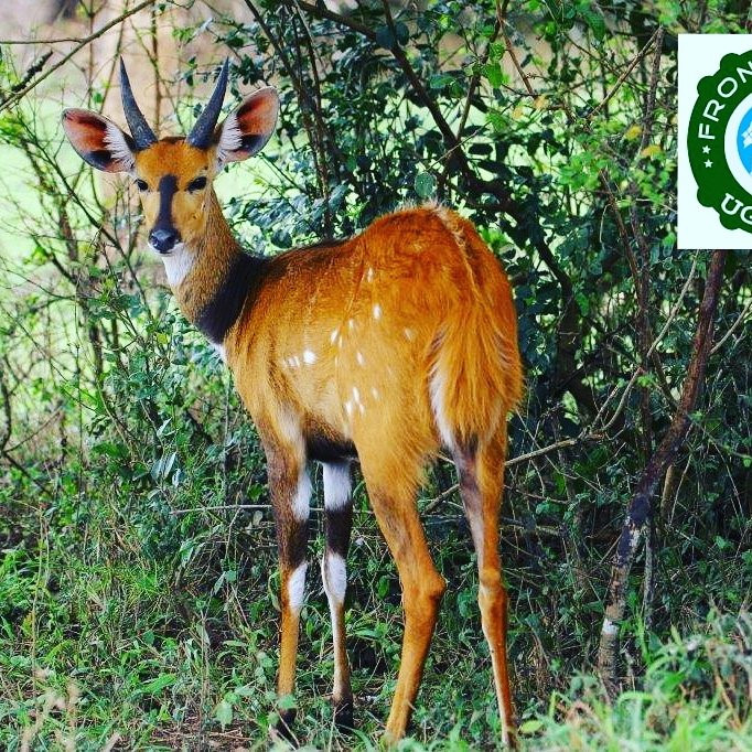 null-Lake Mburo National Park