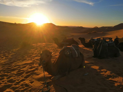 Yi Xiang Ren Infinity-马拉喀什必去景点